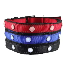 Hundehalsbånd|Løbeturen^Cotonshoppen SOLID LED-halsbånd OUTLET