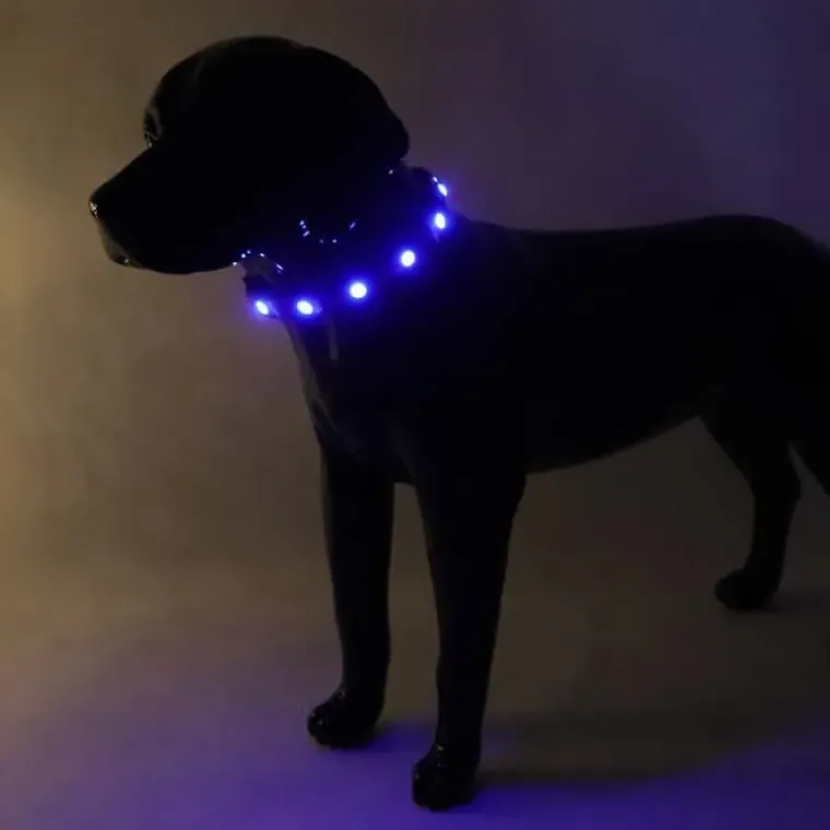 Hundehalsbånd|Løbeturen^Cotonshoppen SOLID LED-halsbånd OUTLET