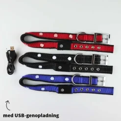 Hundehalsbånd|Løbeturen^Cotonshoppen SOLID LED-halsbånd OUTLET