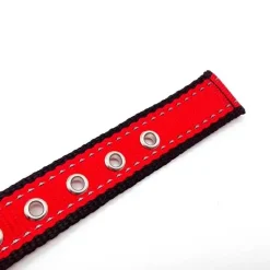 Hundehalsbånd|Løbeturen^Cotonshoppen SOLID LED-halsbånd OUTLET
