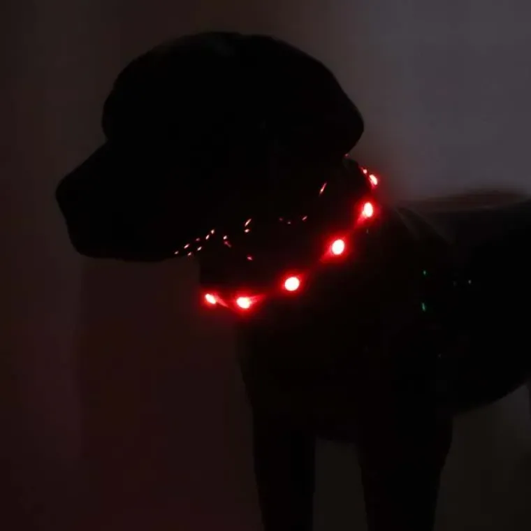 Hundehalsbånd|Løbeturen^Cotonshoppen SOLID LED-halsbånd OUTLET