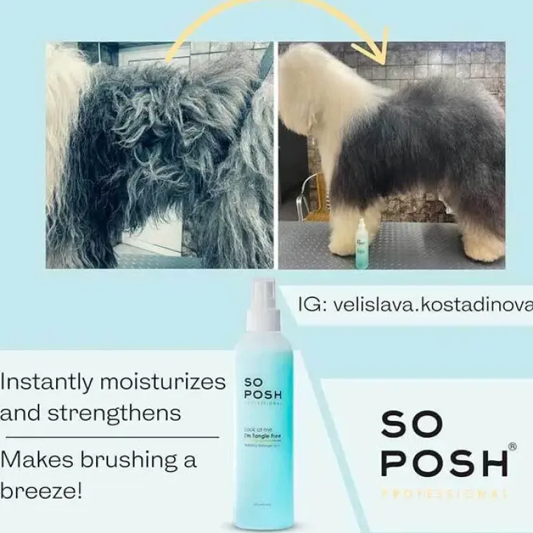 Hundeshampoo Og Hundebalsam^So Posh I'm Tangle Free Filtspray