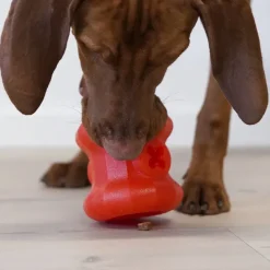 Aktivitetslegetøj Til Hunde|Slidstærkt Legetøj^Starmark Everlasting Treat Fireplug
