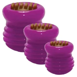 Aktivitetslegetøj Til Hunde|Hvalpelegetøj^Starmark Everlasting Treat Groovy Ball Lisa