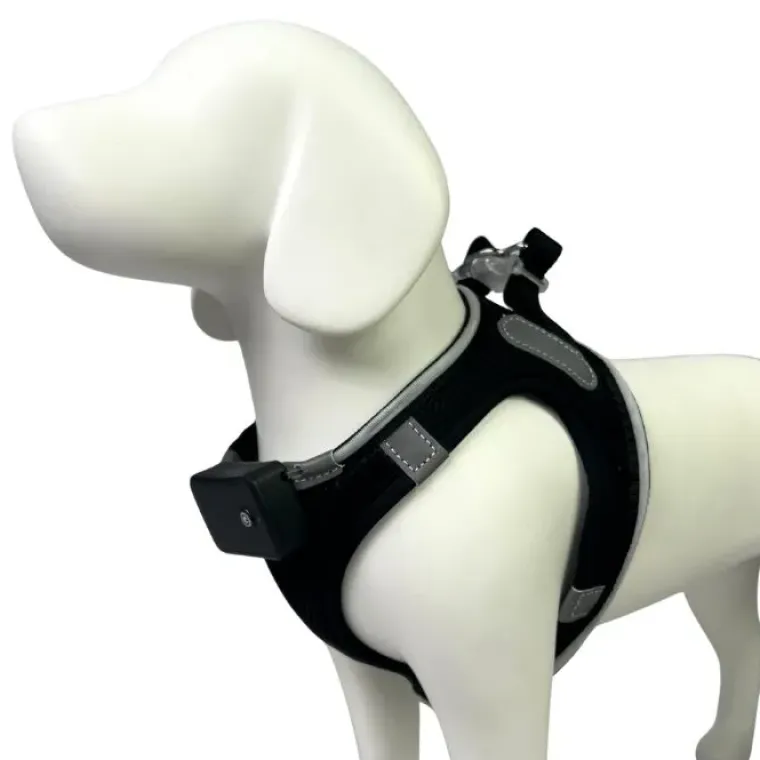 Hundeseler|Led Lys Og Refleks^Cotonshoppen Step-in hundesele med LED-lys