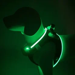 Hundeseler|Led Lys Og Refleks^Cotonshoppen Step-in hundesele med LED-lys