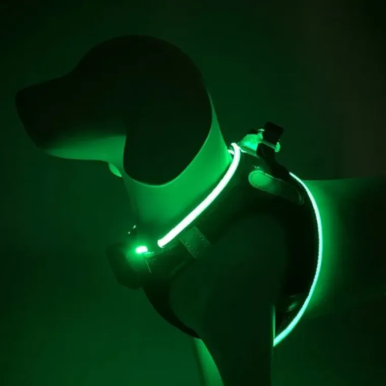 Hundeseler|Led Lys Og Refleks^Cotonshoppen Step-in hundesele med LED-lys