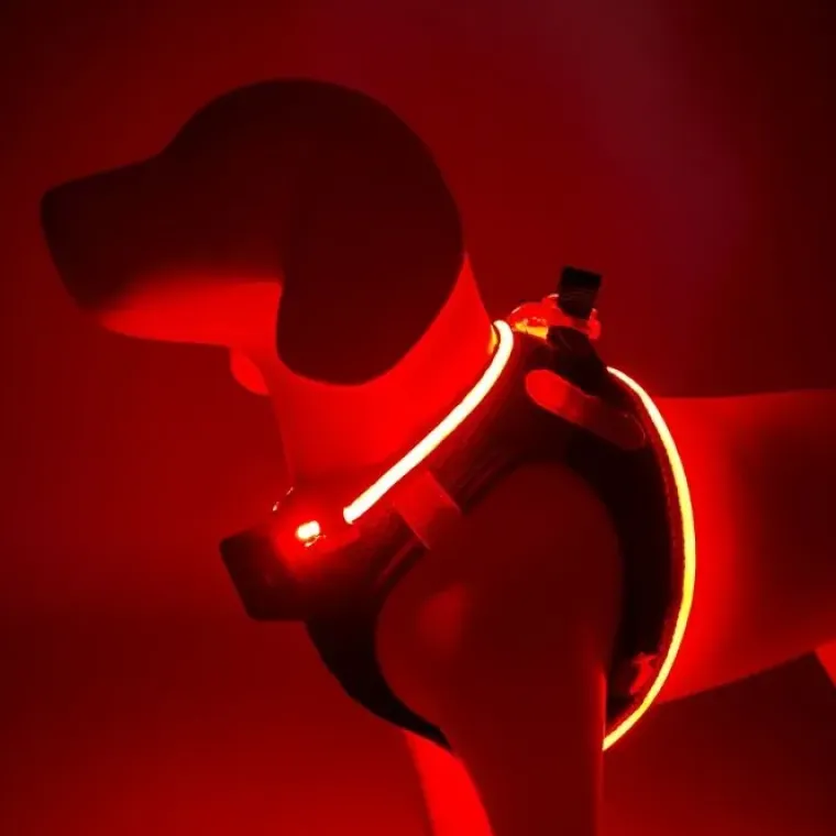 Hundeseler|Led Lys Og Refleks^Cotonshoppen Step-in hundesele med LED-lys
