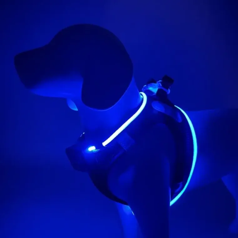 Hundeseler|Led Lys Og Refleks^Cotonshoppen Step-in hundesele med LED-lys