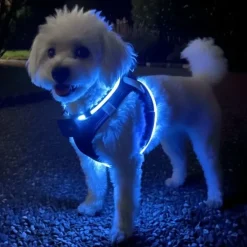 Hundeseler|Led Lys Og Refleks^Cotonshoppen Step-in hundesele med LED-lys