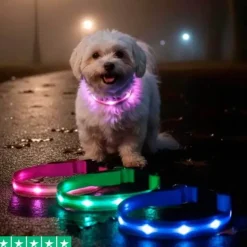 Hundehalsbånd|Løbeturen^Cotonshoppen The Dots LED Collar | Halsbånd med LED lys