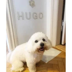 Gaveidéer Til Hundeelskeren|Artikler Til Hjemmet^Cotonshoppen Træbogstaver | OUTLET