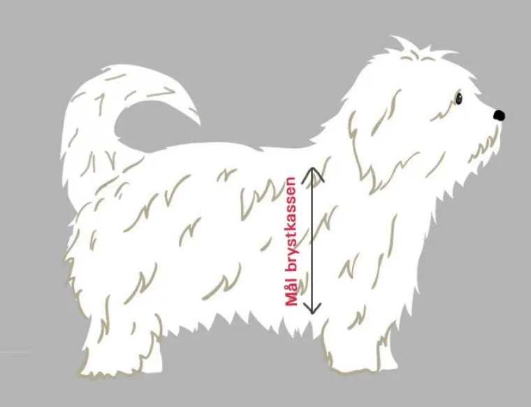 Hundeseler|Halsbånd, Liner Og Seler^Tre Ponti | Classic Sele