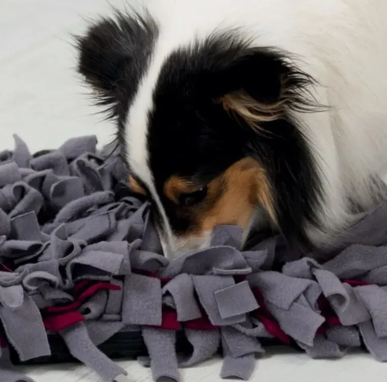 Aktivitetslegetøj Til Hunde|Legetøj Til Katte^Trixie Activity Snusetæppe