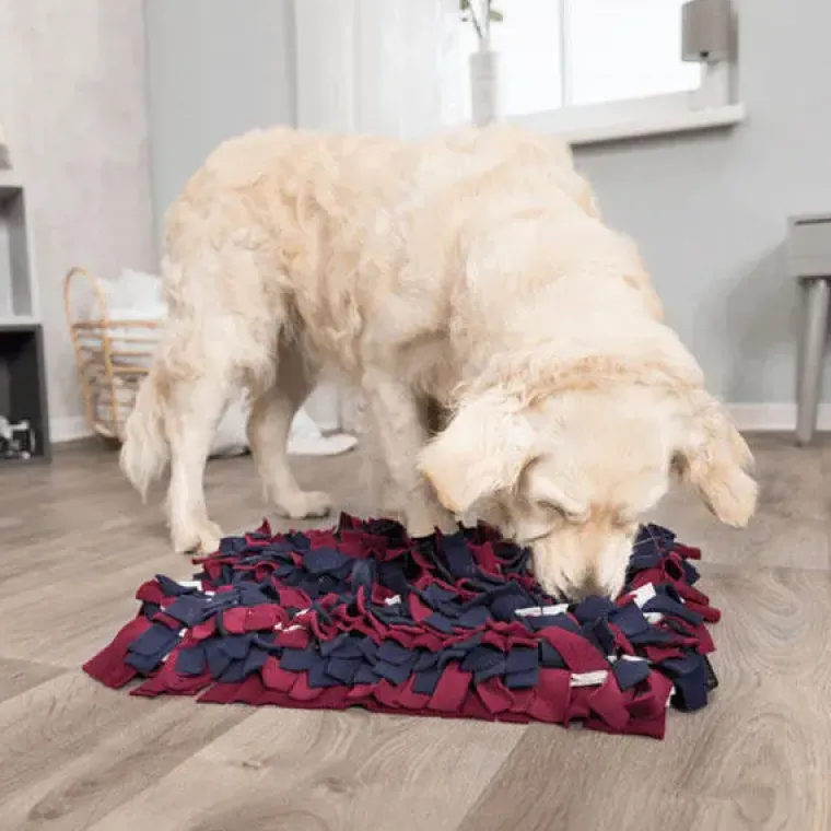 Aktivitetslegetøj Til Hunde|Legetøj Til Katte^Trixie Activity Snusetæppe