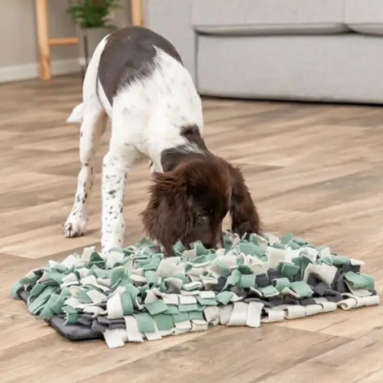 Aktivitetslegetøj Til Hunde|Legetøj Til Katte^Trixie Activity Snusetæppe