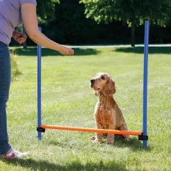 Hundetræning Og Klikker|Trixie Hundelegetøj^Trixie Agility Hurdle | Agility forhindring