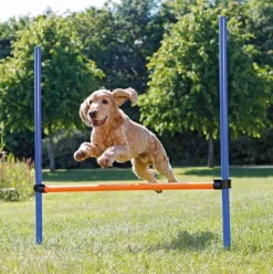 Hundetræning Og Klikker|Trixie Hundelegetøj^Trixie Agility Hurdle | Agility forhindring