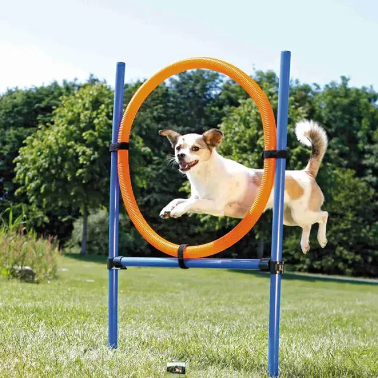 Hundetræning Og Klikker|Trixie Hundelegetøj^Trixie Agility Ring