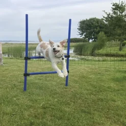Hundetræning Og Klikker|Trixie Hundelegetøj^Trixie Agility Ring