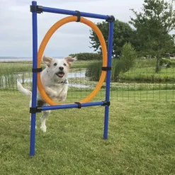 Hundetræning Og Klikker|Trixie Hundelegetøj^Trixie Agility Ring