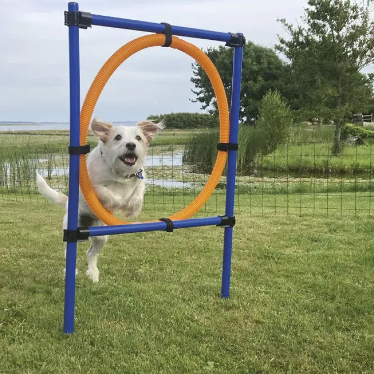 Hundetræning Og Klikker|Trixie Hundelegetøj^Trixie Agility Ring