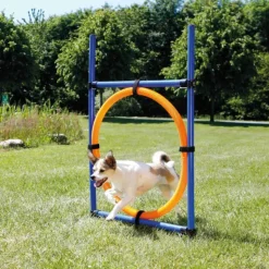 Hundetræning Og Klikker|Trixie Hundelegetøj^Trixie Agility Ring