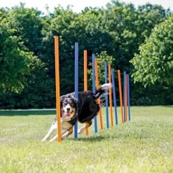 Hundetræning Og Klikker^Trixie Agility Slalompinde