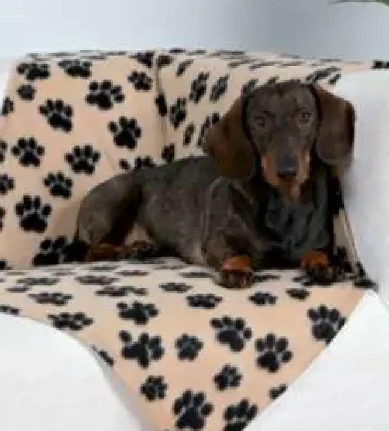 Hundesenge^Trixie Beany Hundetæppe i polarfleece