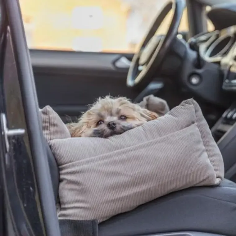 Autostol Til Hunde|Hundeferien^Trixie bilsæde/transportseng