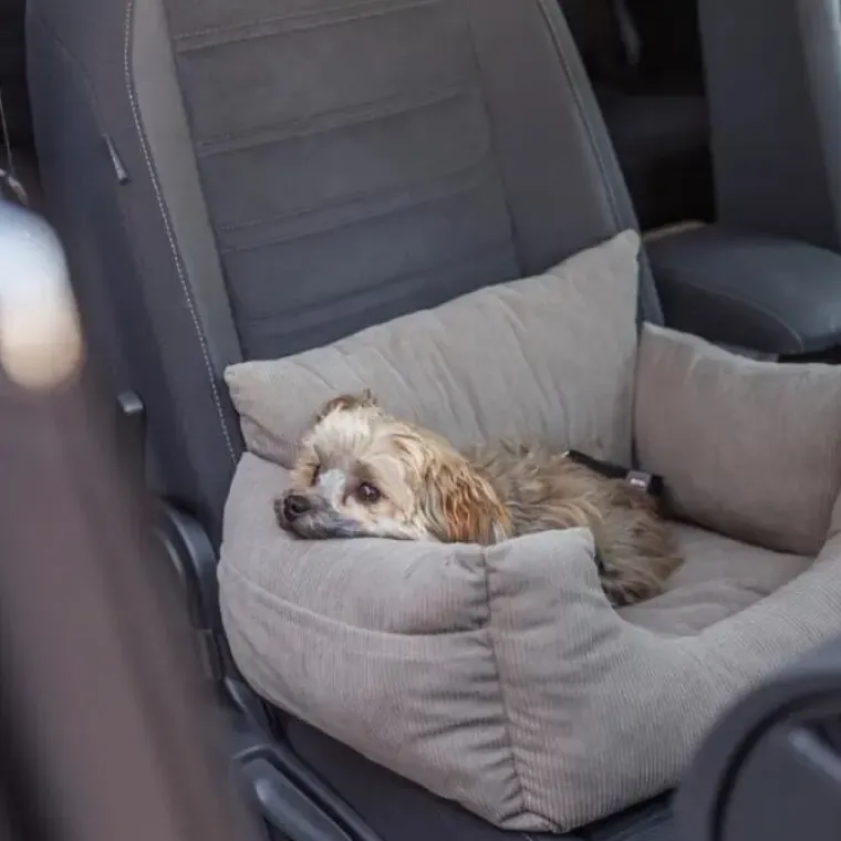 Autostol Til Hunde|Hundeferien^Trixie bilsæde/transportseng