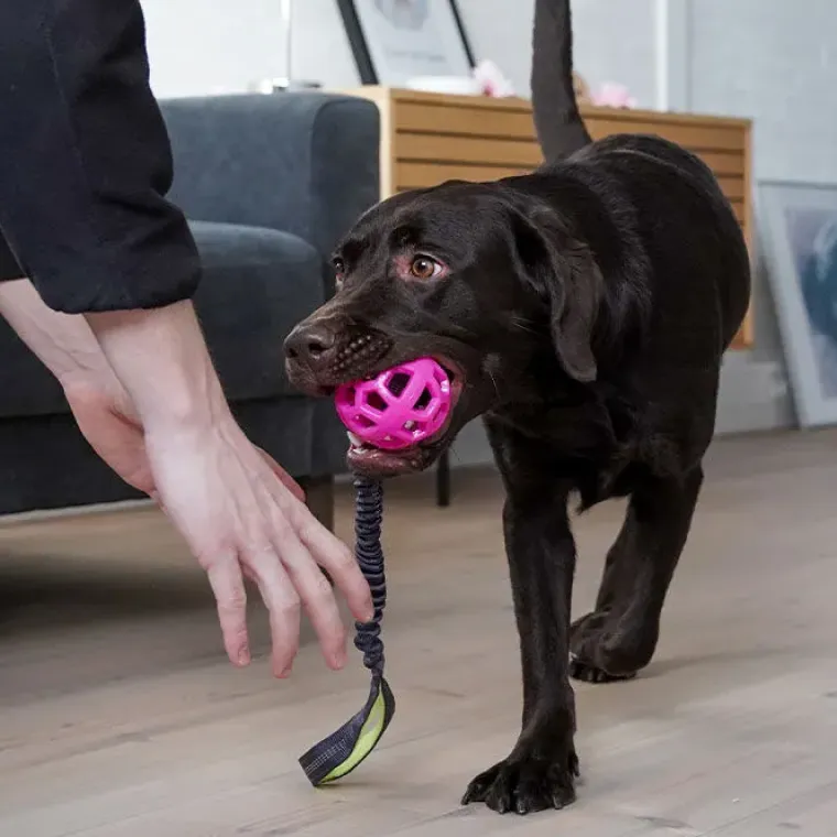Belønningslegetøj|Hundetræning Og Klikker^Trixie Bungee Tugger med bold