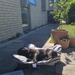 ☀️Sommerklar|Hundeferien^Trixie Campingseng til hunde