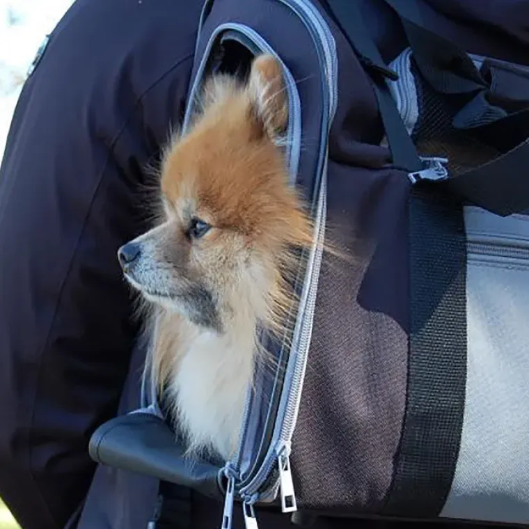 Transporttasker Til Hunde|Hundeferien^Trixie Connor hunderygsæk