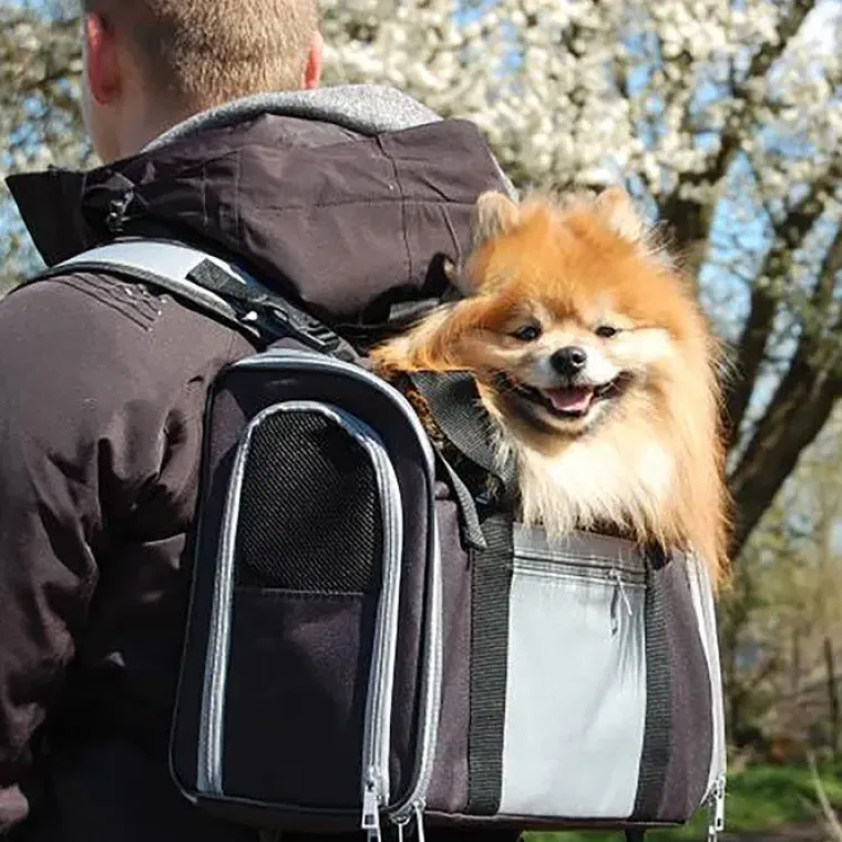 Transporttasker Til Hunde|Hundeferien^Trixie Connor hunderygsæk