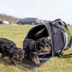 Transporttasker Til Hunde|Hundeferien^Trixie Connor hunderygsæk