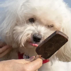 ☀️Sommerklar|Hundeferien^Trixie Dentafun hundeis | Chicken Pops