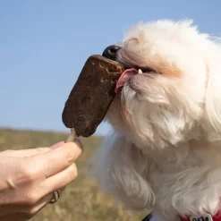 ☀️Sommerklar|Hundeferien^Trixie Dentafun hundeis | Chicken Pops