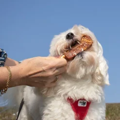 ☀️Sommerklar|Hundeferien^Trixie Dentafun hundeis | Chicken Pops