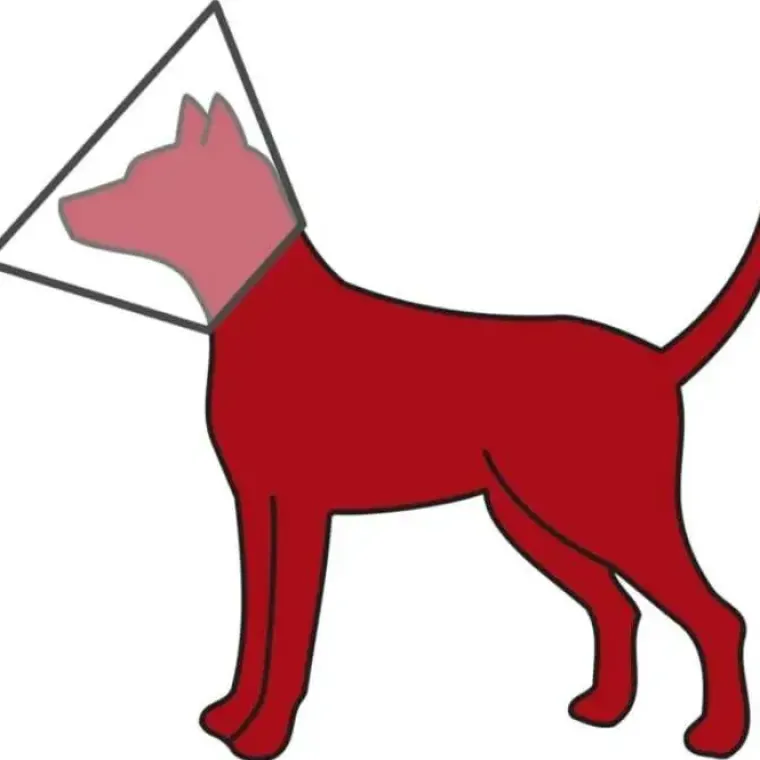 Helse Til Hunde^Trixie Halskrave m. burrebånd