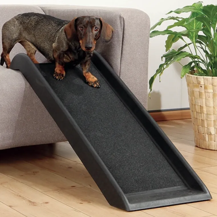 Hundetrapper & Hunderamper|Hvalpe Accessories^Trixie Hunderampe | Medium