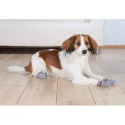 Efterårsklar|Hundesko^Trixie hundestrømper | 2-pak