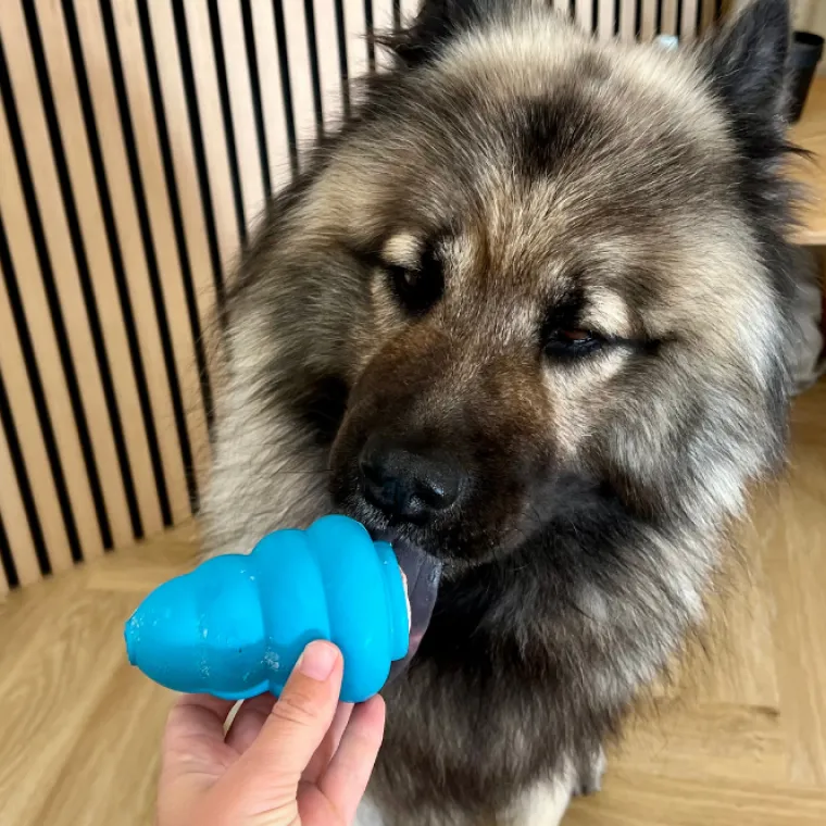 Aktivitetslegetøj Til Hunde|Slidstærkt Legetøj^Trixie jumper | Super Slidstærkt Naturgummi