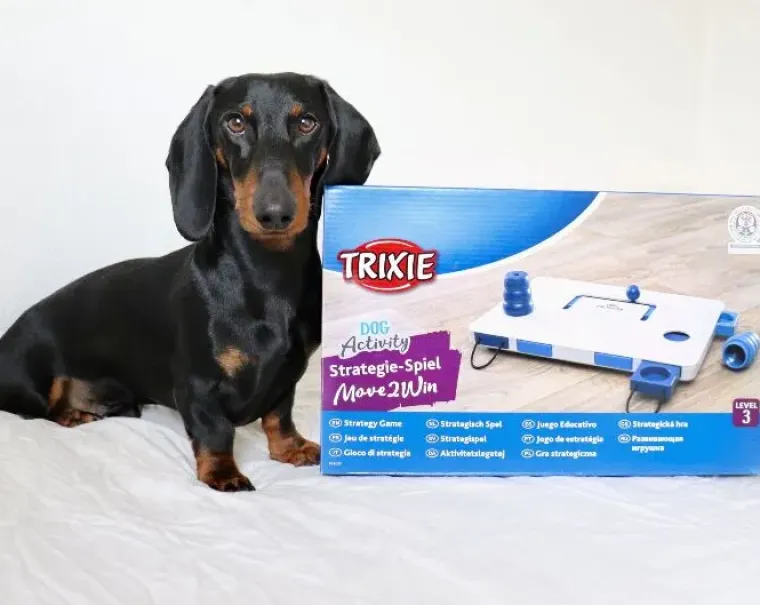 Aktivitetslegetøj Til Hunde|Trixie Hundelegetøj^Trixie Move2win | Aktivitetsspil level 3