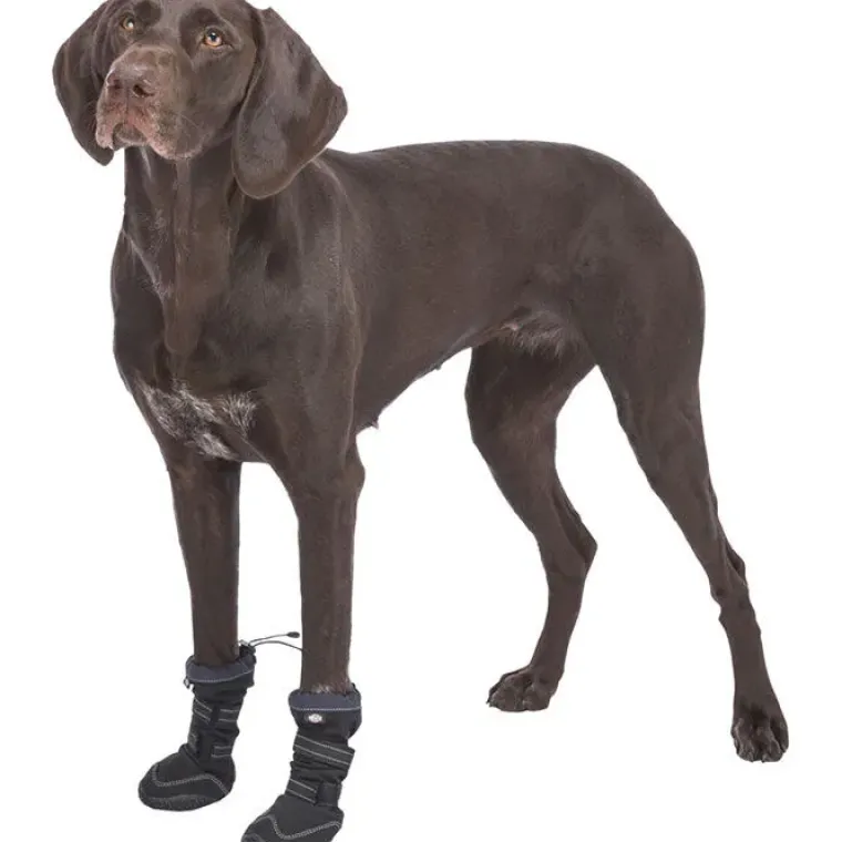 Efterårsklar|Hundesko^Trixie Paw Protection Walker Active Long | Hundestøvler