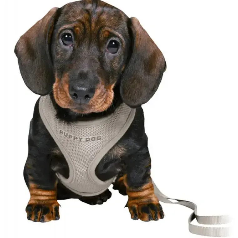 Hundeseler|Hvalpesele Og Hvalpeliner^Trixie Puppy Dog hvalpesele og line