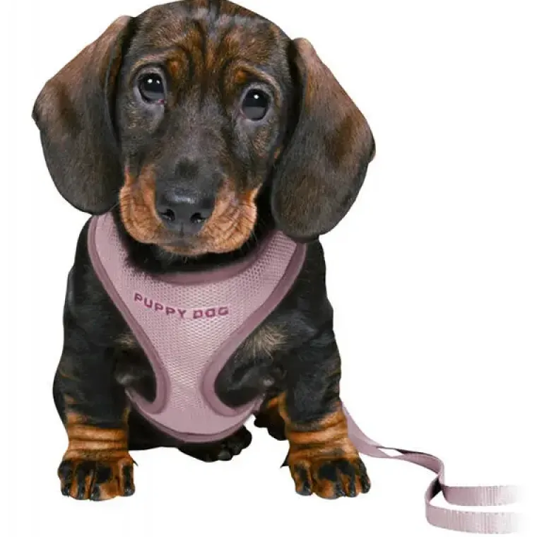Hundeseler|Hvalpesele Og Hvalpeliner^Trixie Puppy Dog hvalpesele og line