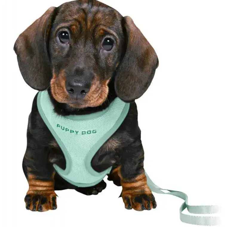 Hundeseler|Hvalpesele Og Hvalpeliner^Trixie Puppy Dog hvalpesele og line