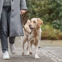 Hundesnor^Trixie Pure Hundesnor| Brun læder