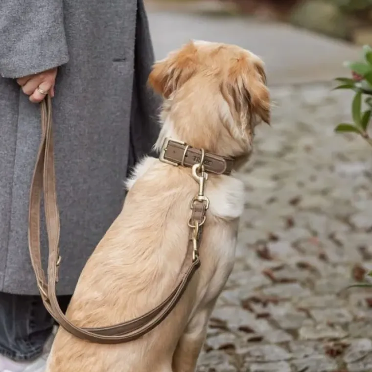 Hundesnor^Trixie Pure Hundesnor| Brun læder